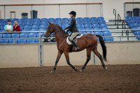 2019 Morgan Horse Show - Aug 31, 2019 - 04822
