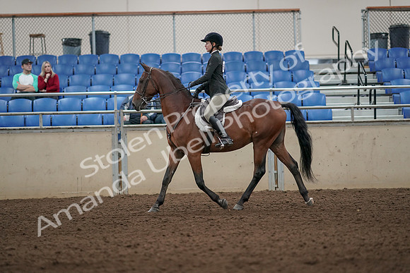 2019 Morgan Horse Show - Aug 31, 2019 - 04822