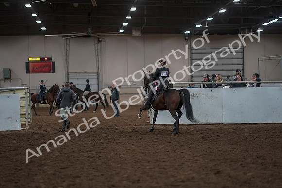 2019 Morgan Horse Show - Aug 30, 2019 - 28352