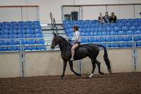 2019 Morgan Horse Show - Aug 30, 2019 - 31041
