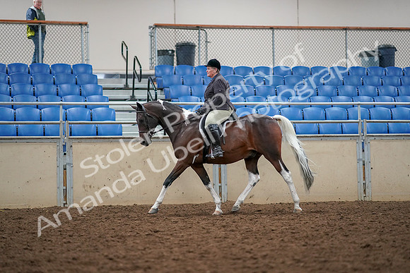 2019 Morgan Horse Show - Aug 30, 2019 - 22235
