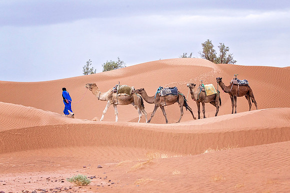 Morocco - 114