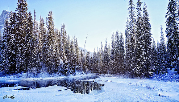 Banff Dec 2018 - 00038