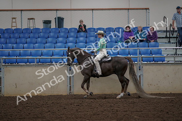 2019 Morgan Horse Show - Aug 30, 2019 - 25958