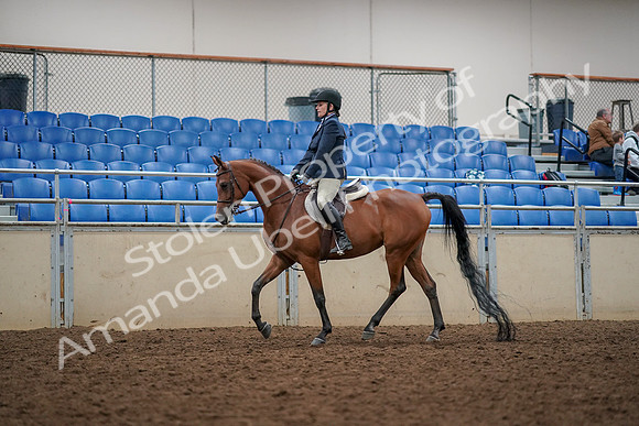 2019 Morgan Horse Show - Aug 30, 2019 - 22251