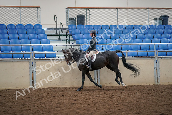 2019 Morgan Horse Show - Aug 30, 2019 - 23410