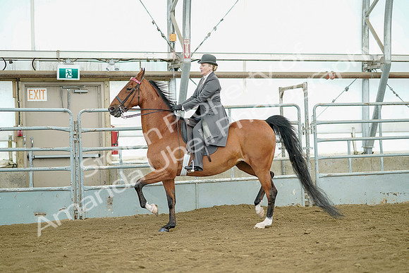 July 20, 2019 - 07813