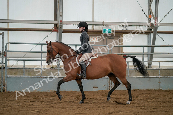 July 19, 2019 - 2527