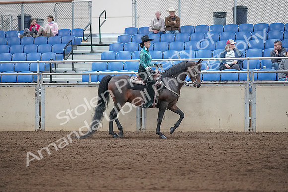 2019 Morgan Horse Show - Sept 01, 2019 - 07109