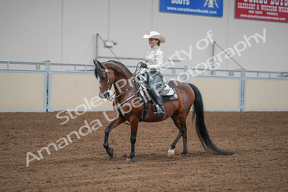 2020 - AB Morgan Horse - Sat, Sept 05 - 09036