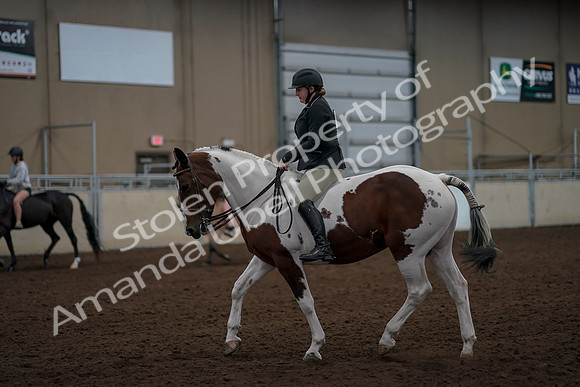 2019 Morgan Horse Show - Aug 30, 2019 - 31155