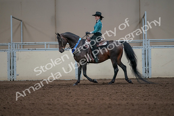 2019 Morgan Horse Show - Sept 01, 2019 - 07326