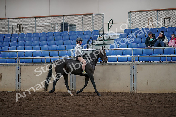2019 Morgan Horse Show - Aug 30, 2019 - 31379