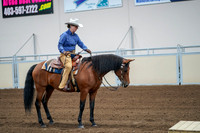 2020 - AB Morgan Horse - Fri, Sept 04 - 00007