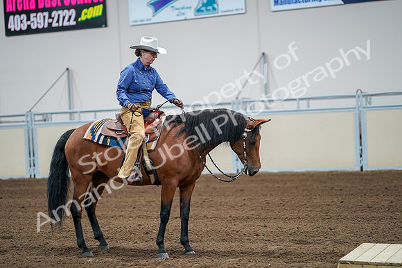 2020 - AB Morgan Horse - Fri, Sept 04 - 00007