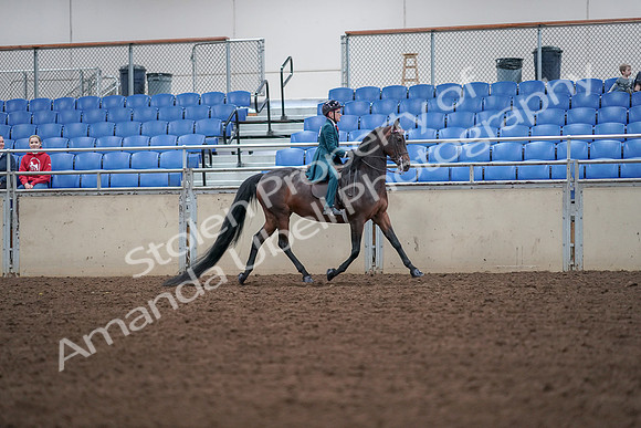 2019 Morgan Horse Show - Aug 30, 2019 - 18064