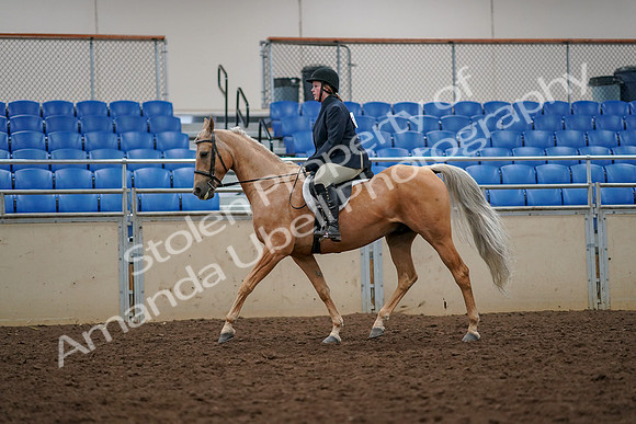 2019 Morgan Horse Show - Aug 30, 2019 - 22286