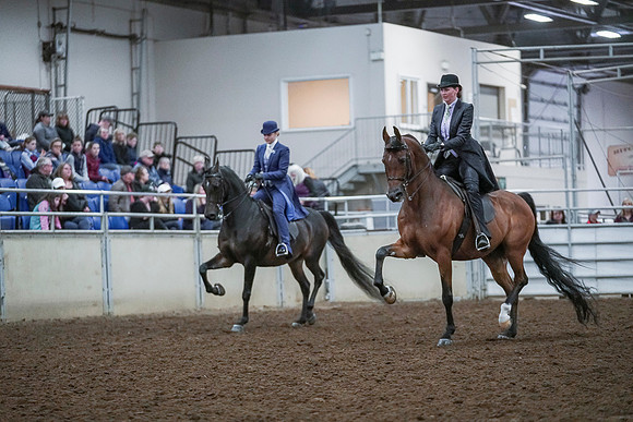 Spring Fling - Saturday - April 20, 2019  -  00693