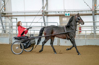 Class 072 - Driving Class - 1 entry, dressed in red