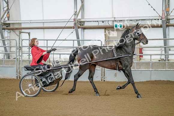 July 20, 2019 - 08763