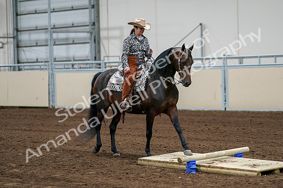 2020 - AB Morgan Horse - Fri, Sept 04 - 00309
