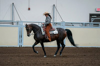 2020 - AB Morgan Horse - Fri, Sept 04 - 00407
