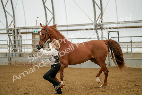 July 19, 2019 - 256