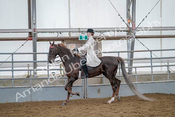 July 20, 2019 - 14668