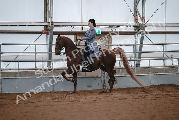 July 20, 2019 - 17072