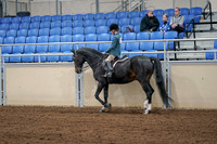 2020 - AB Morgan Horse - Fri, Sept 04 - 07737