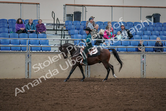 2019 Morgan Horse Show - Aug 30, 2019 - 26057