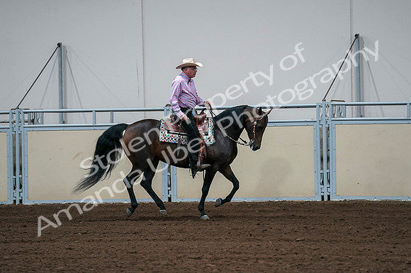 2020 - AB Morgan Horse - Fri, Sept 04 - 00553