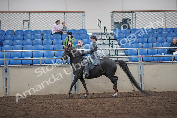 2019 Morgan Horse Show - Aug 31, 2019 - 09441