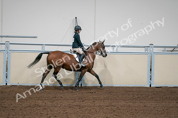 2020 - AB Morgan Horse - Fri, Sept 04 - 02145