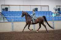2019 Morgan Horse Show - Aug 30, 2019 - 17783