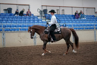 2019 Morgan Horse Show - Aug 31, 2019 - 14106
