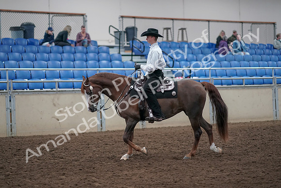 2019 Morgan Horse Show - Aug 31, 2019 - 14106