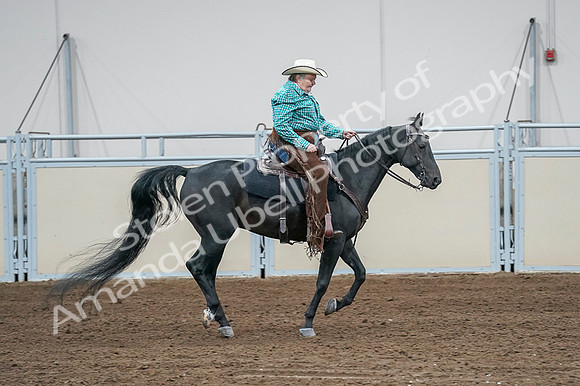 2020 - AB Morgan Horse - Fri, Sept 04 - 00611