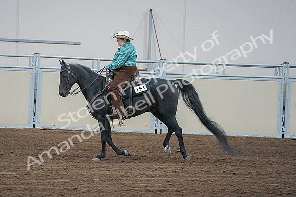 2020 - AB Morgan Horse - Fri, Sept 04 - 00478