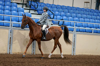 2020 - AB Morgan Horse - Fri, Sept 04 - 02955