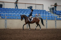 2019 Morgan Horse Show - Aug 31, 2019 - 05558