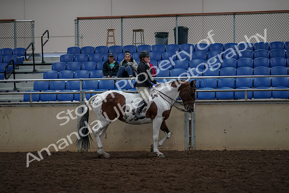 2019 Morgan Horse Show - Aug 30, 2019 - 31416