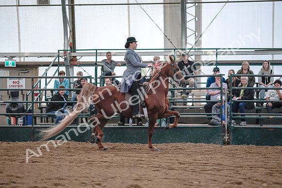 July 20, 2019 - 17152