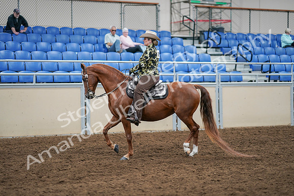 2020 - AB Morgan Horse - Sat, Sept 05 - 08894