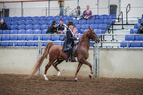 Spring Fling - Saturday - April 20, 2019  -  04419