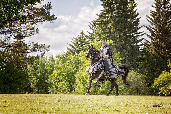 Bartelan - 8339
