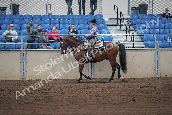 2019 Morgan Horse Show - Sept 01, 2019 - 06773