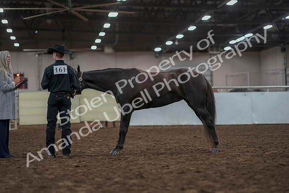 2019 Morgan Horse Show - Aug 31, 2019 - 02048