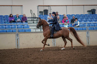 2019 Morgan Horse Show - Aug 30, 2019 - 26771