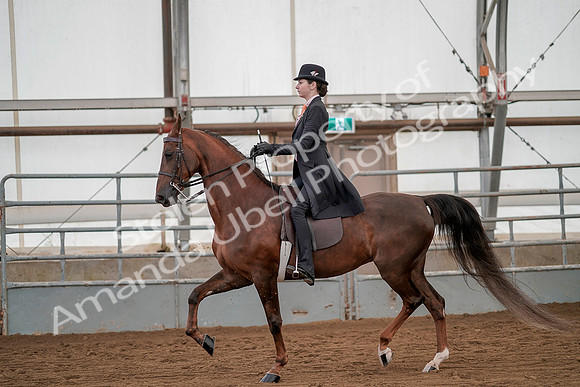 July 20, 2019 - 02041